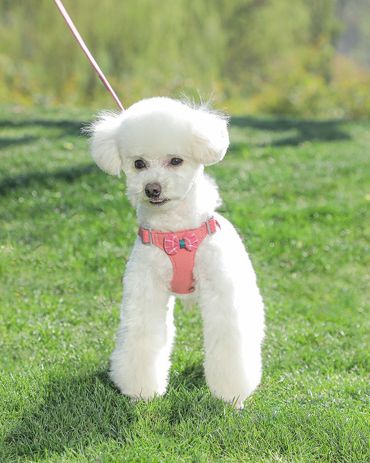 犬 ハーネス 上品リボンハーネス