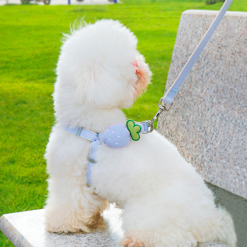 犬 ハーネス フルーツ苺のかわいいハーネス
