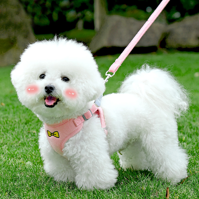 犬 ハーネス リボン付きソフトメッシュハーネス