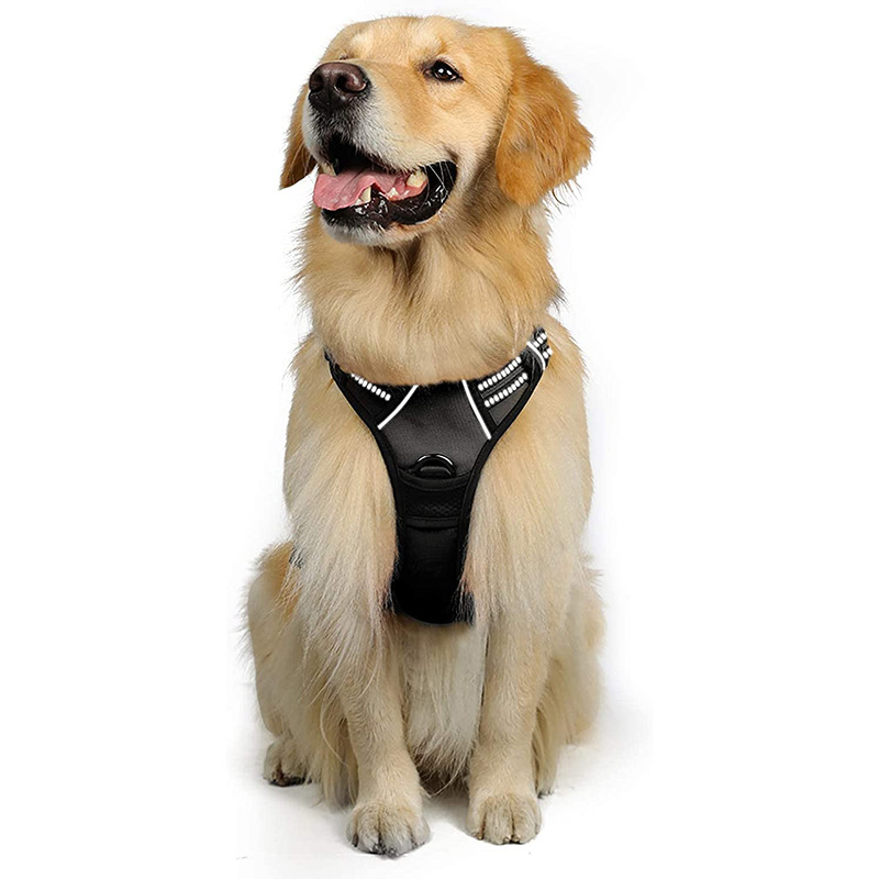 犬 ハーネス やさしさ包む ふんわりハーネス