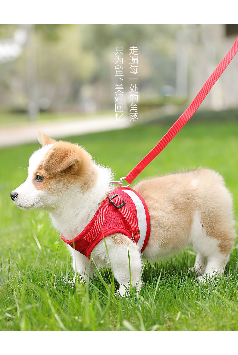犬 ハーネス メッシュ通気ベーシックハーネス