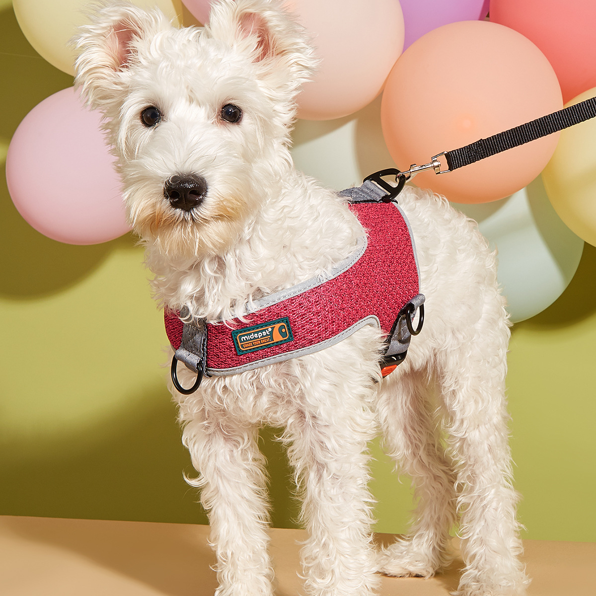 犬 ハーネス やさしい肩あて付きメッシュハーネス