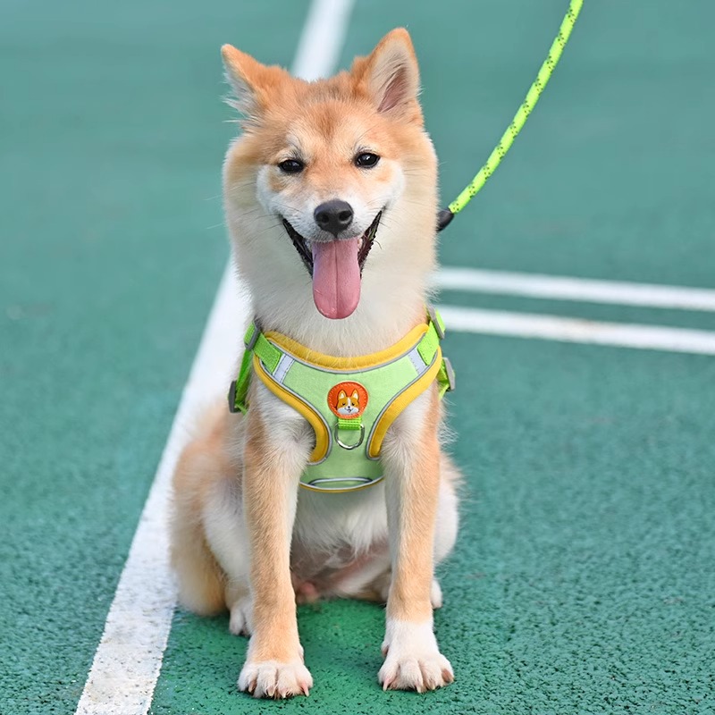 犬 ハーネス やさしさ包む 四季のハーネス