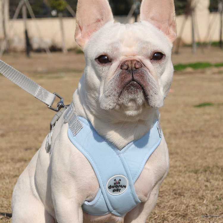 犬 ハーネス やさしさ包む うっとり安心ハーネス