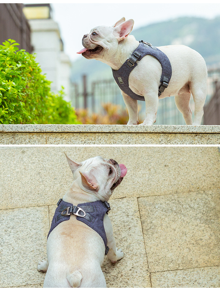 犬 ハーネス しなやかフィット やわらか胴輪
