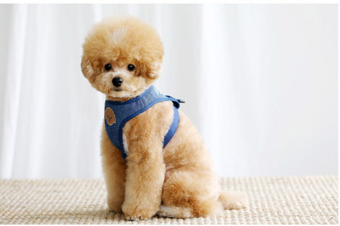 犬 ハーネス やわらか包み込みハーネス