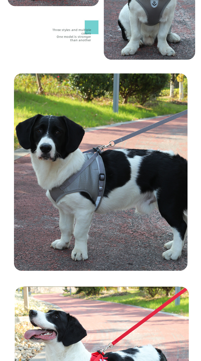 犬 ハーネス 上質ベーシック 軽量ハーネス