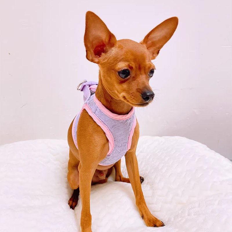 犬 ハーネス やさしさ包むふんわり首輪
