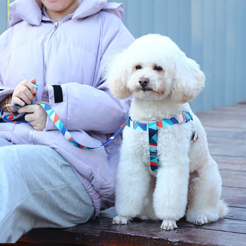 犬 ハーネス なめらか三角デザインハーネス
