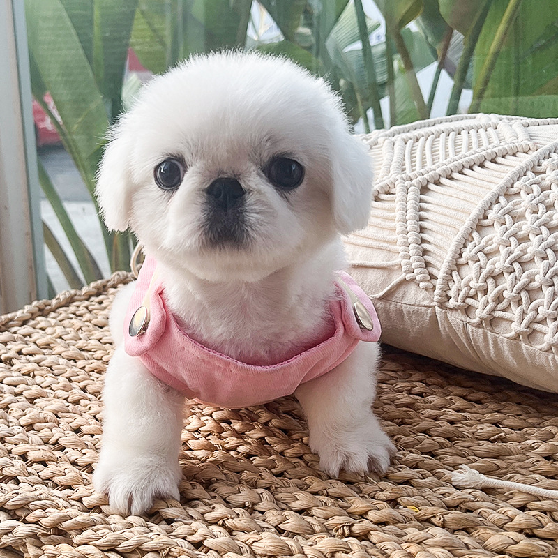 犬 ハーネス しなやかリボンハーネス