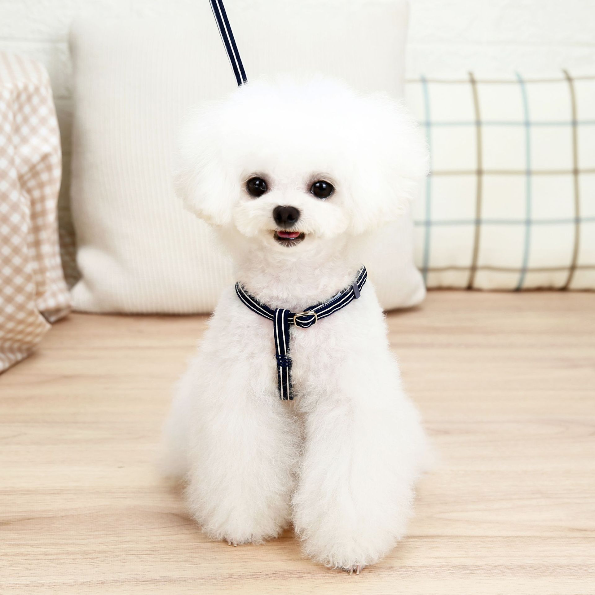 犬 ハーネス おリボン付きストライプ柄ハーネス