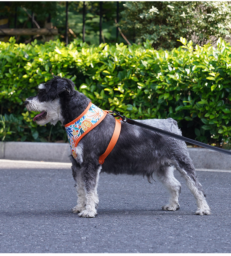 犬 ハーネス 爽やかトロピカル ペットハーネス