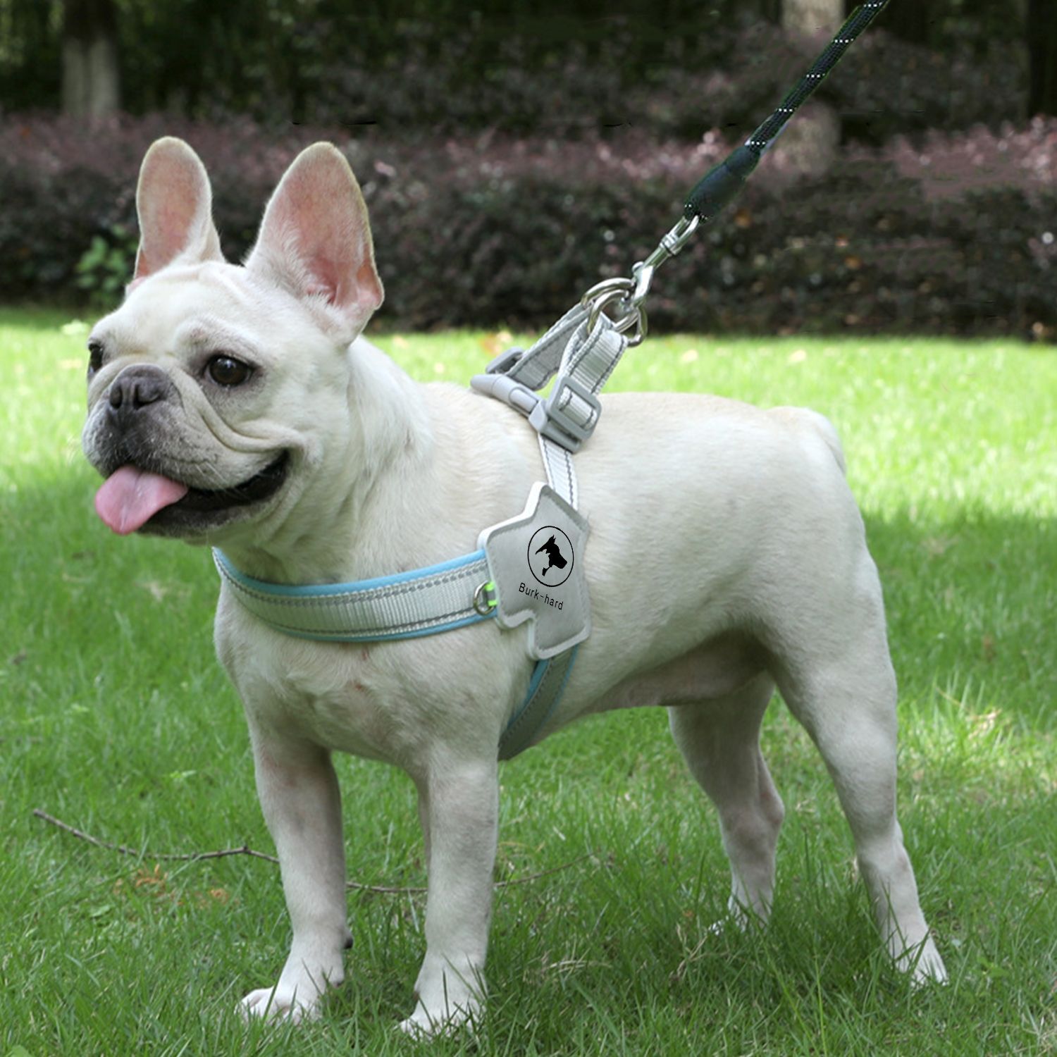 犬 ハーネス シンプル美デザイン やさしい肌触り ハーネス