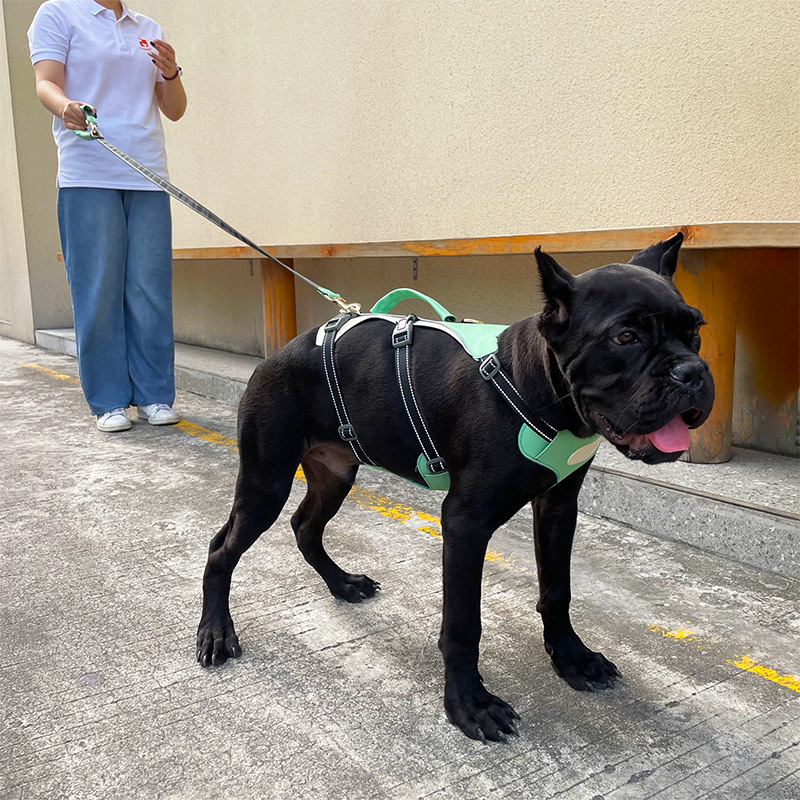 犬 ハーネス 快適フィット 三層構造ハーネス