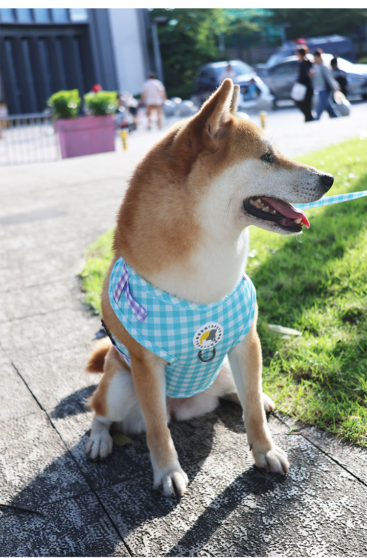 犬 ハーネス 格子柄パピーハーネスセット