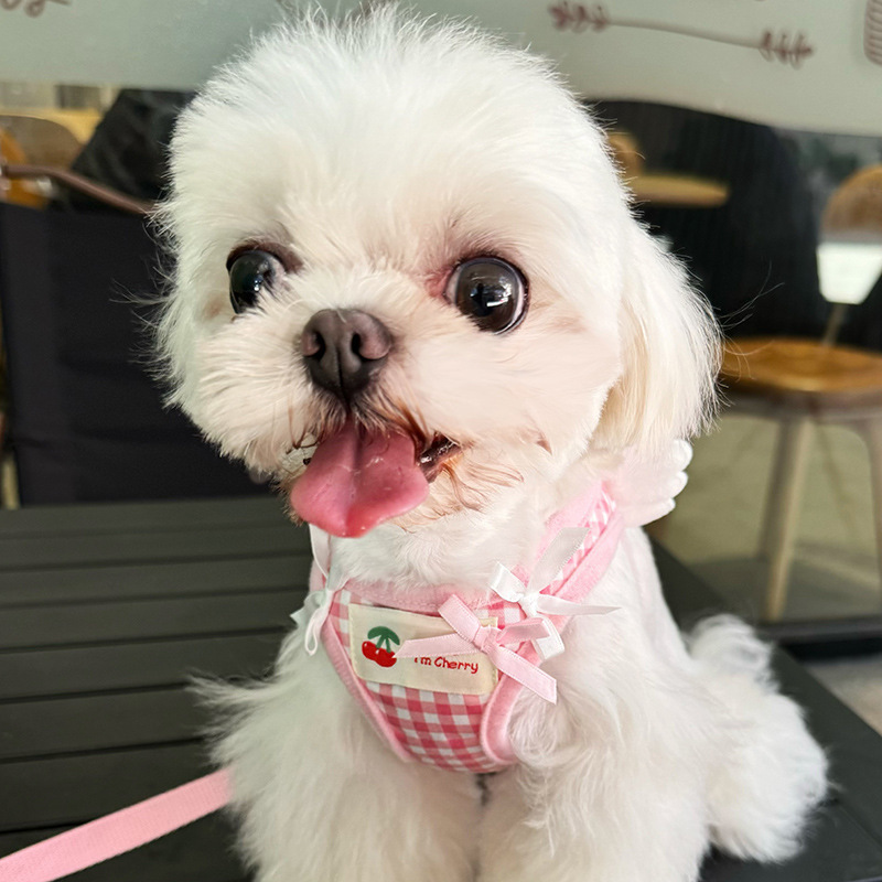 https://fulmo-img-server.com/wonderfulharness/b74cf1aa-0531-4815-b110-77729968c0d7.jpg
