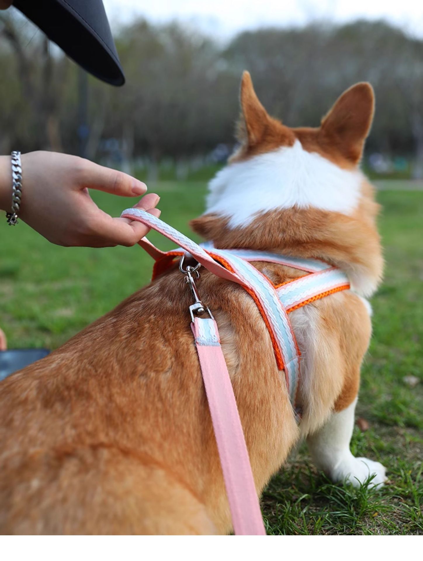 犬 ハーネス やさしさ包む ふわふわハーネス