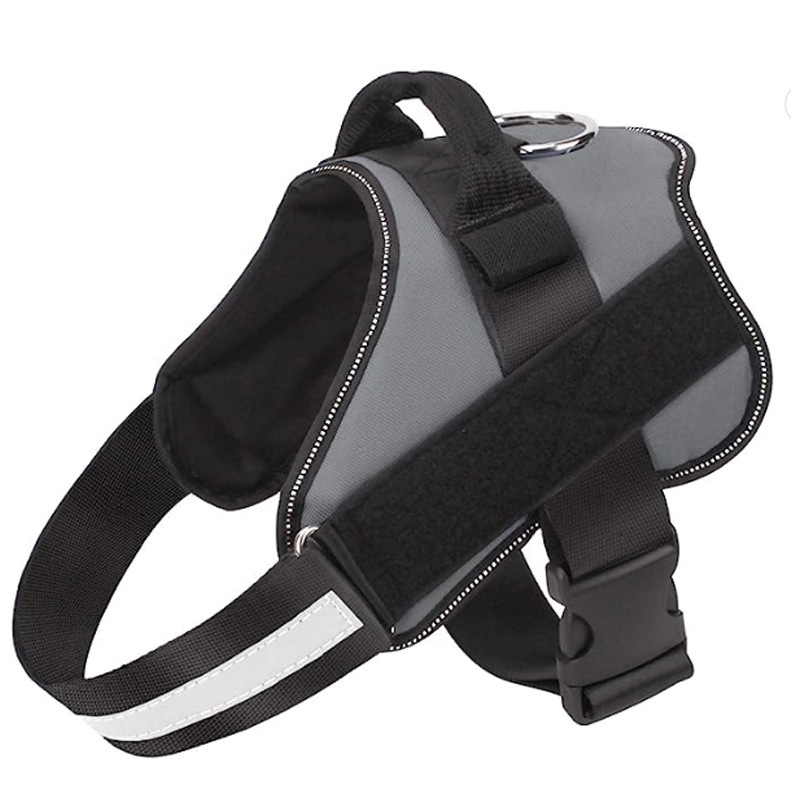 https://fulmo-img-server.com/wonderfulharness/b77343d7-2bb1-44ba-bf8e-eca6f69bd11b.jpg