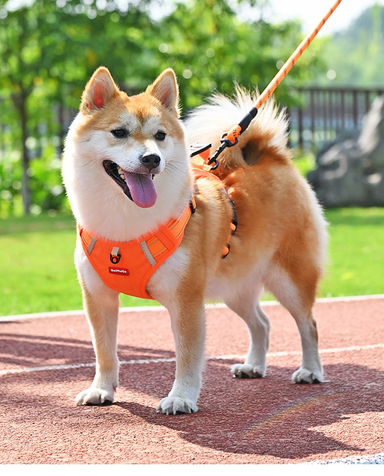 犬 ハーネス 柔らか素材の安心ハーネス