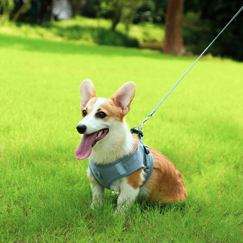 犬 ハーネス 快適ワンタッチ 通気メッシュハーネス