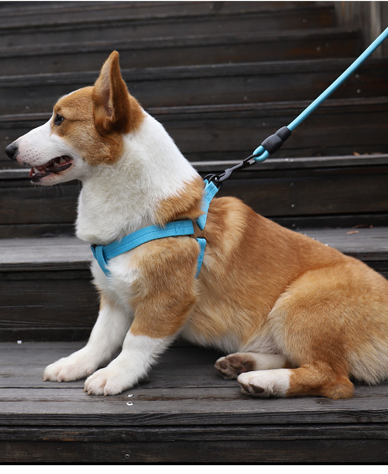 犬 ハーネス かろやかな歩みハーネス