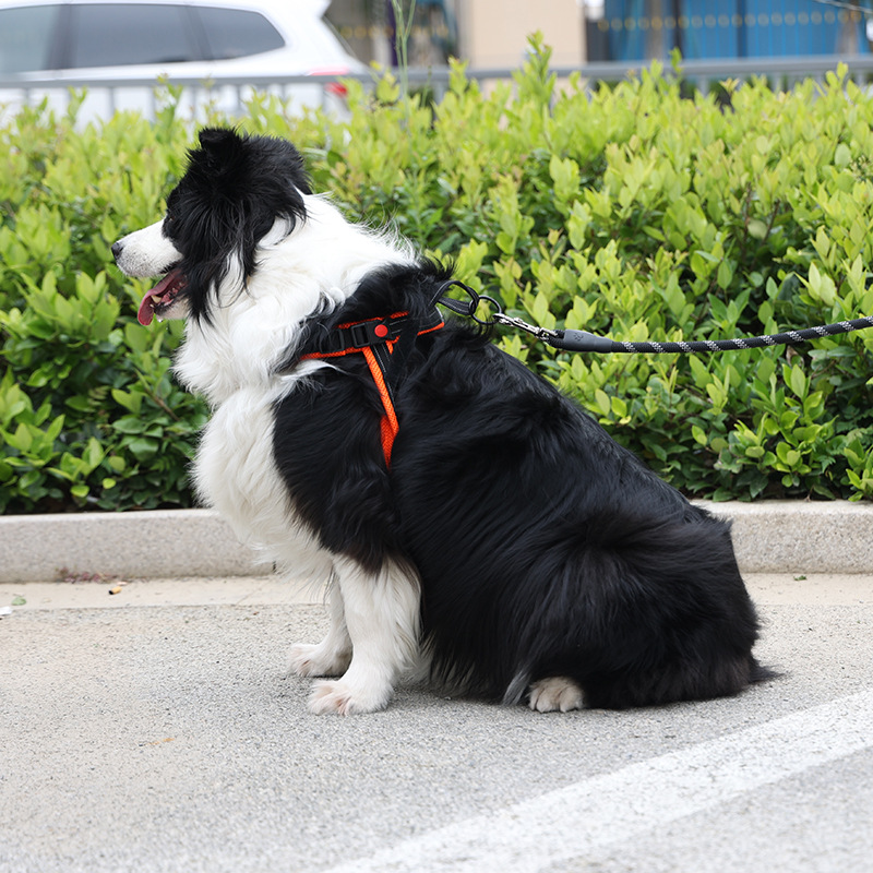 犬 ハーネス やさしフィット 軽量ハーネス