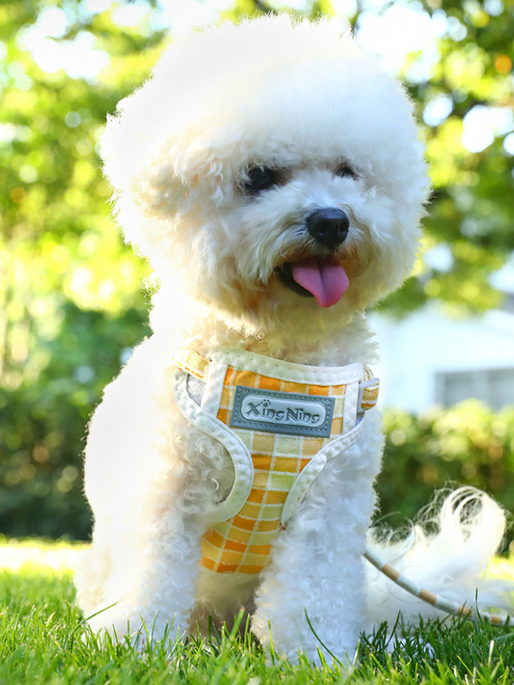 犬 ハーネス モザイク模様のお散歩ハーネス