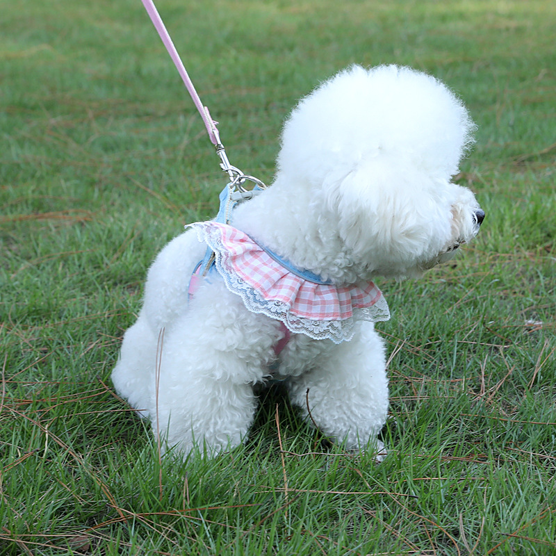 犬 ハーネス ふんわりレース付きお姫様ハーネス