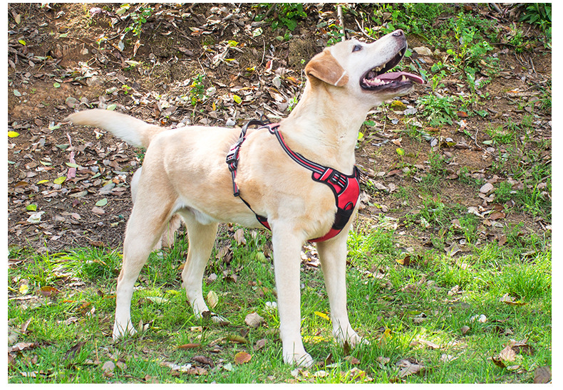 犬 ハーネス メッシュフィット 快適ハーネス