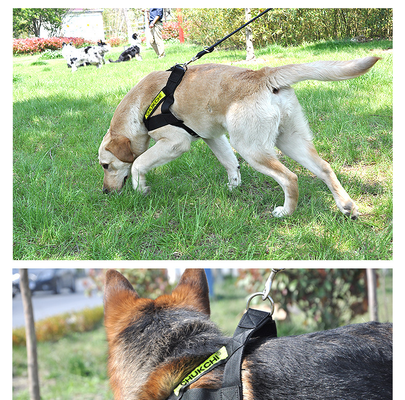 犬 ハーネス アウトドア軽量メッシュハーネス