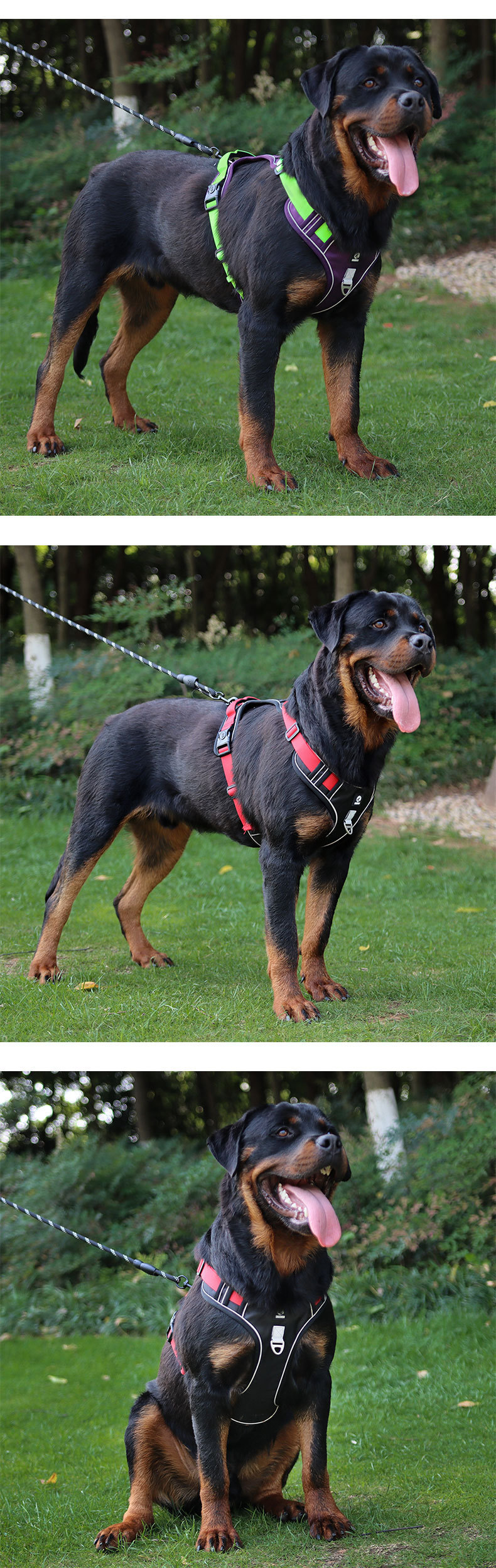 犬 ハーネス ソフトフィット快適ハーネス