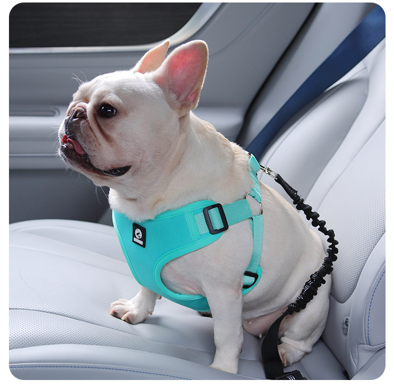 犬 ハーネス やさしフィットハーネス