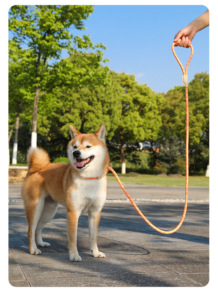 犬 ハーネス 輝きロープリード
