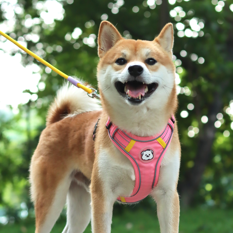 犬 ハーネス やわらか素材 ペット用ハーネス