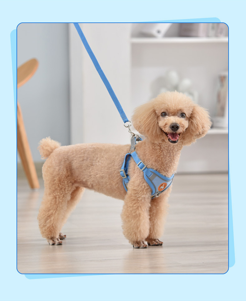 犬 ハーネス やわらか快適ハーネス