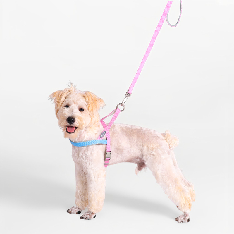 犬 ハーネス シンプルライン 斜め織り ハーネス