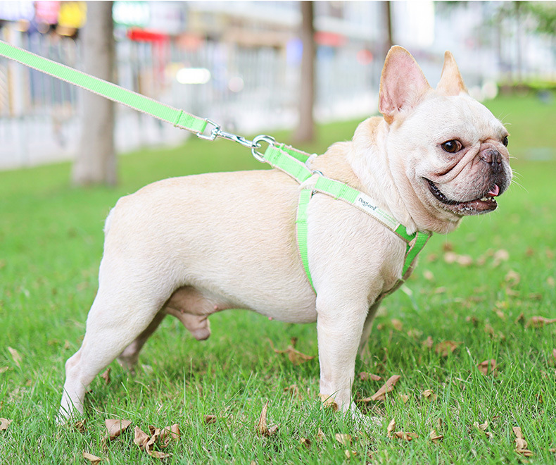 犬 ハーネス やさしい着心地 ソフトフィットハーネス