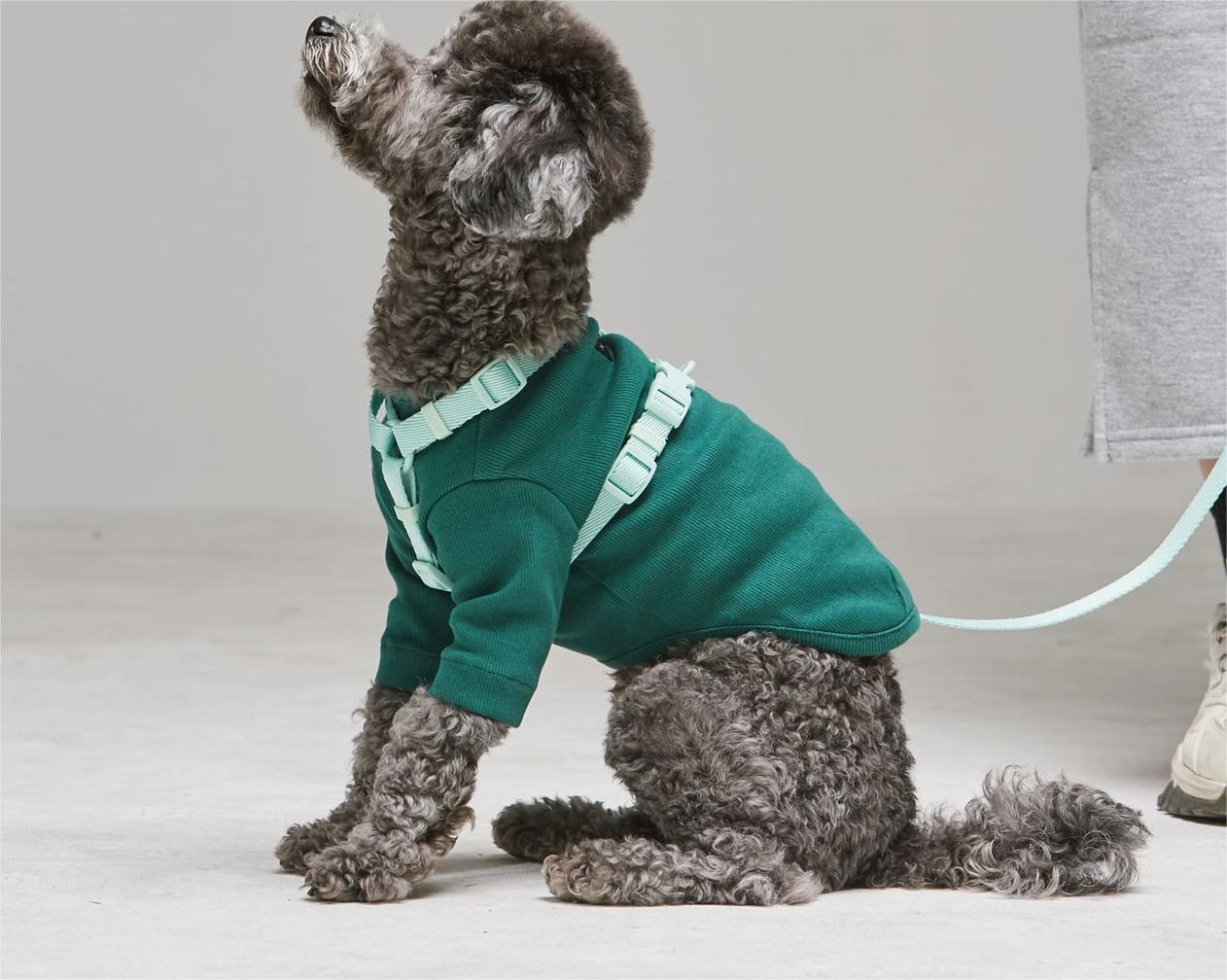 犬 ハーネス なめらかスタンダードハーネス