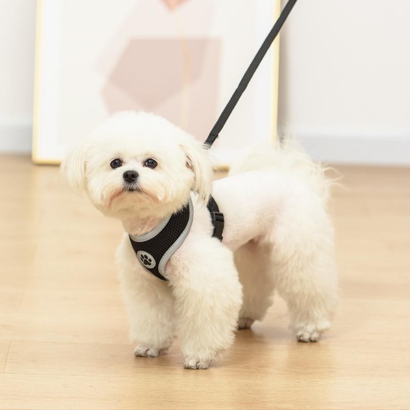 犬 ハーネス やさしさ包む 軽やか快適ハーネス