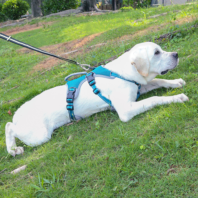 犬 ハーネス やさしさ包む 軽量メッシュハーネス