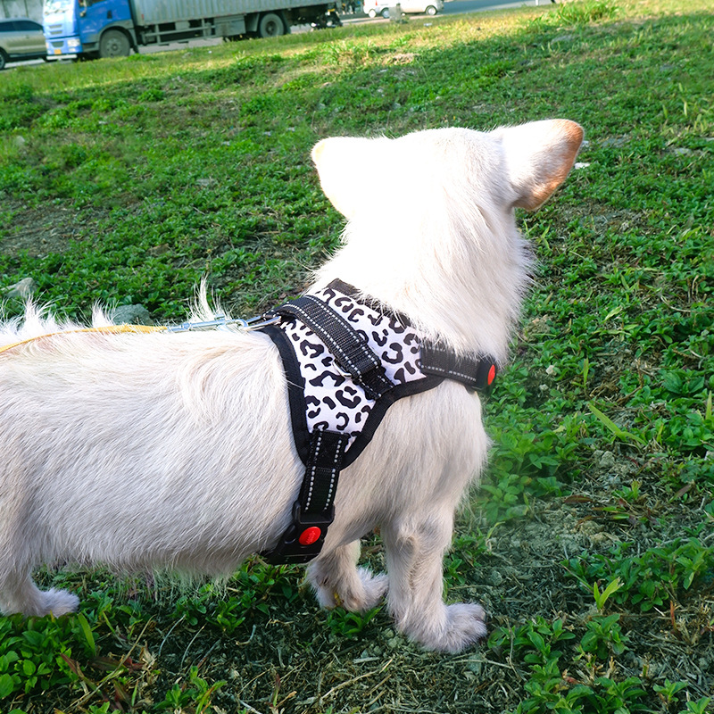犬 ハーネス シックモダン ペットハーネス