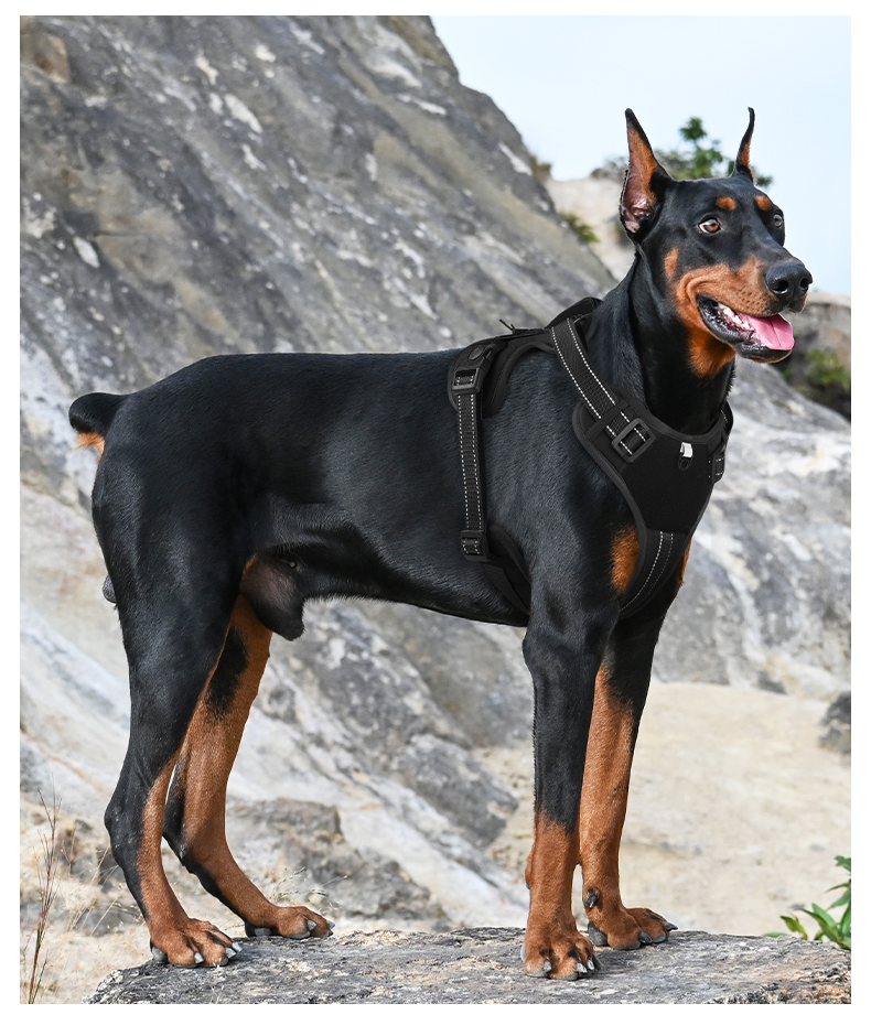 犬 ハーネス ゆとりの時間 やさしさハーネス