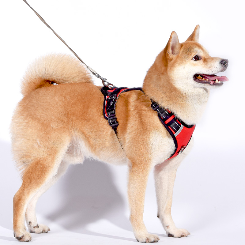犬 ハーネス ふんわり包む 安心ハーネス
