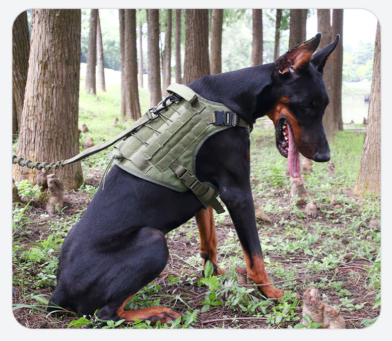 犬 ハーネス 軽量モールシステム デュアルハーネス
