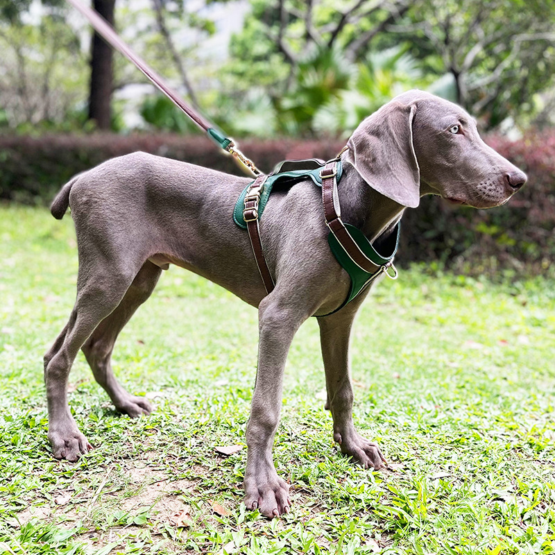 犬 ハーネス やさしく包み込む リラックスハーネス