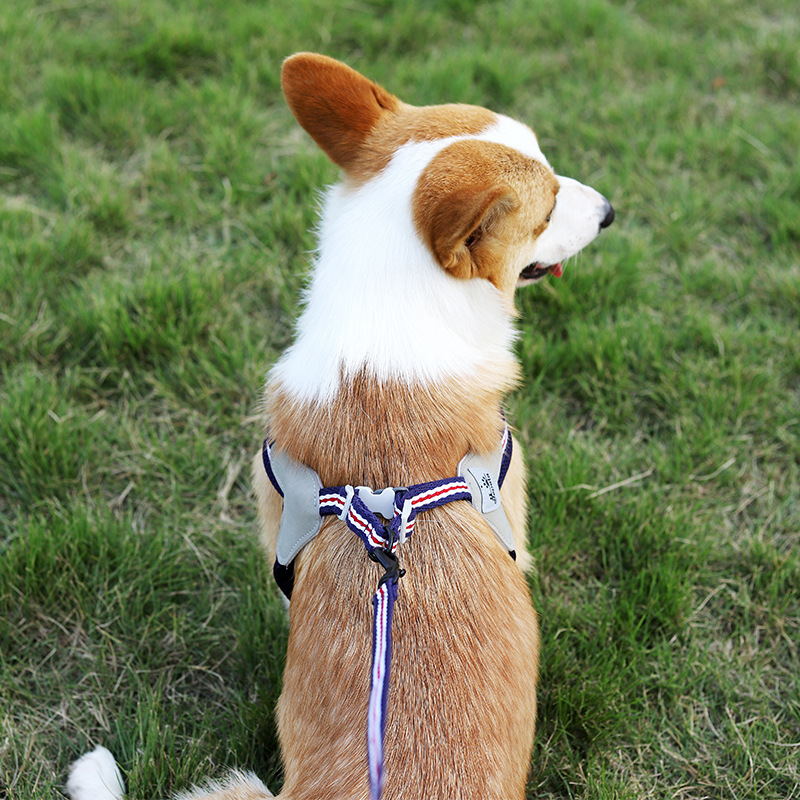 犬 ハーネス なめらか安心メッシュハーネスセット