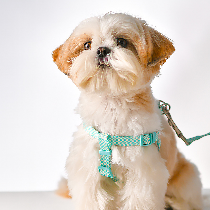 犬 ハーネス ふんわり市松ハーネス