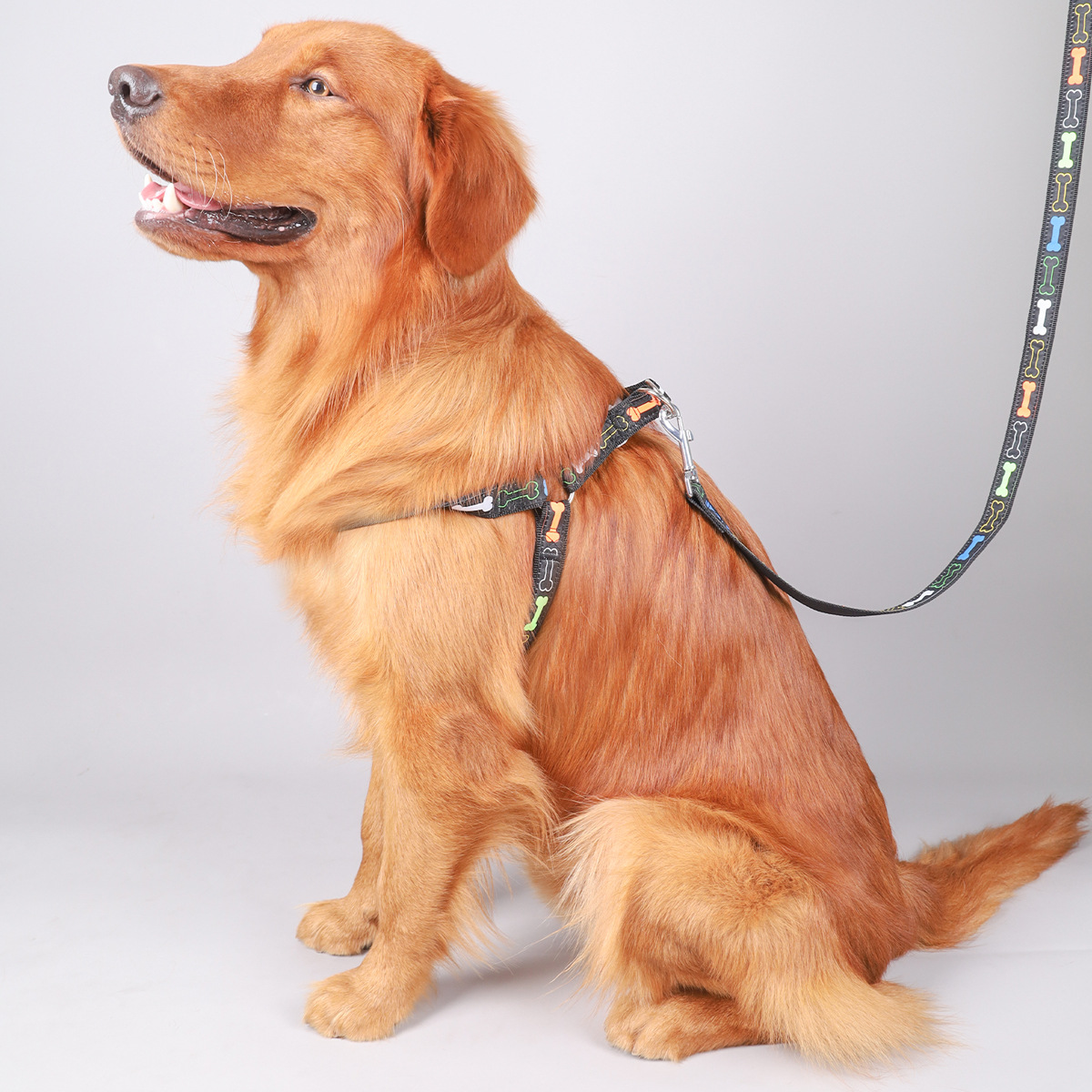 犬 ハーネス わんこの骨がらがらハーネスセット