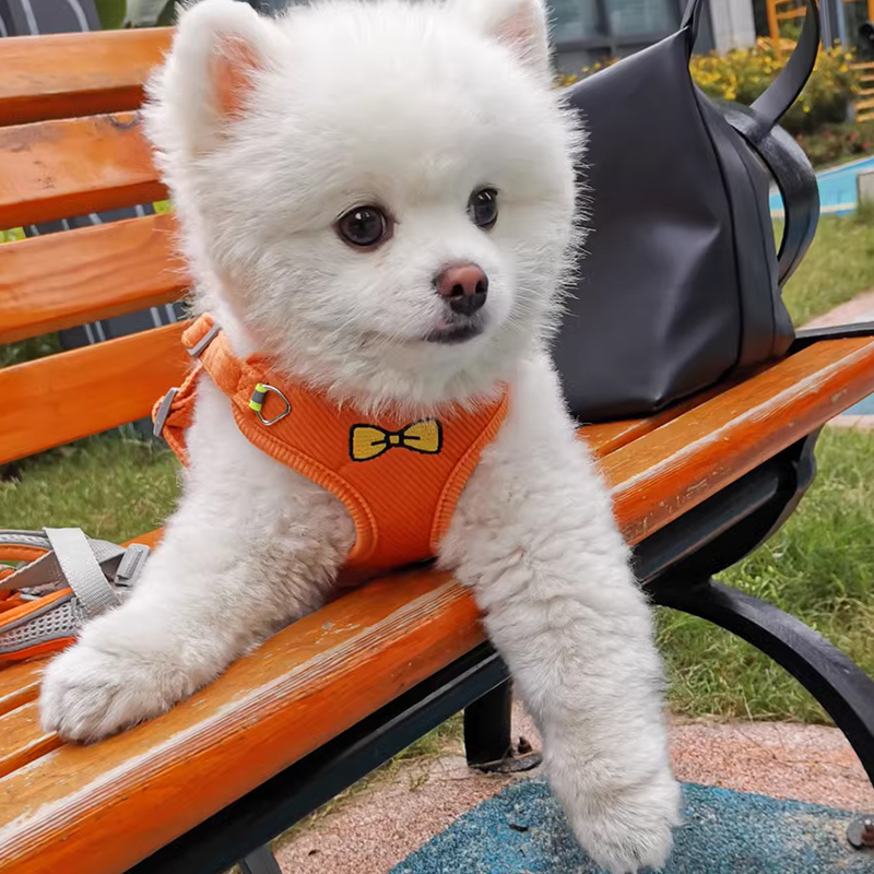 犬 ハーネス 蝶結び リボンハーネス