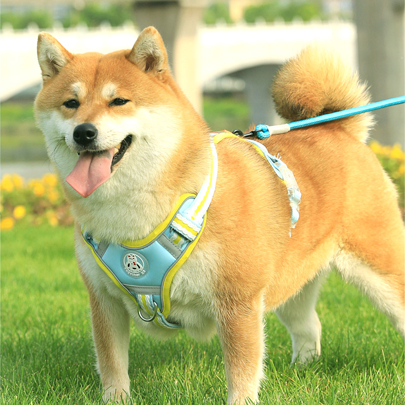犬 ハーネス やわらか素材の四季彩ハーネス